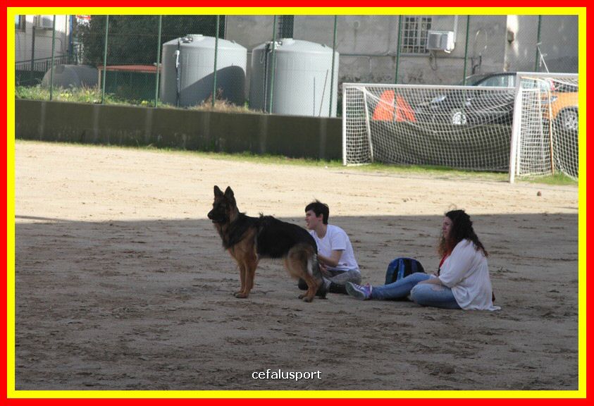 180311 mostra_canina 047.jpg
